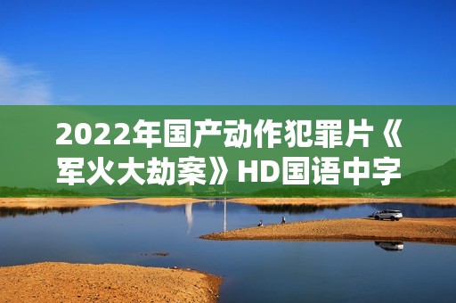 2022年国产动作犯罪片《军火大劫案》HD国语中字