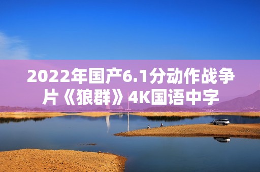 2022年国产6.1分动作战争片《狼群》4K国语中字