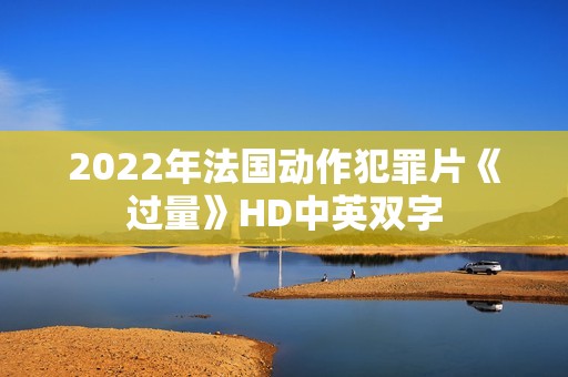2022年法国动作犯罪片《过量》HD中英双字
