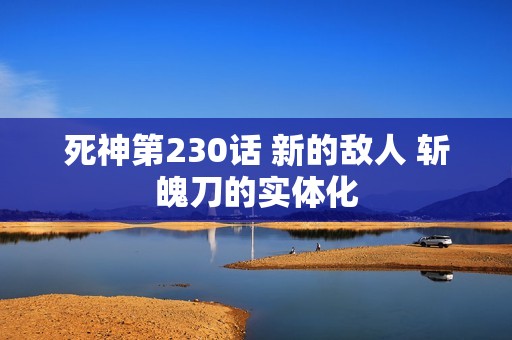 死神第230话 新的敌人 斩魄刀的实体化