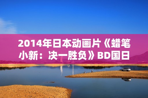 2014年日本动画片《蜡笔小新：决一胜负》BD国日双语中字
