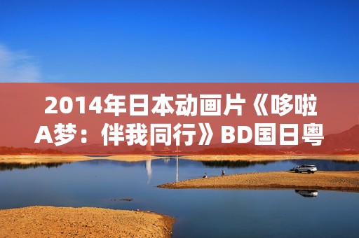 2014年日本动画片《哆啦A梦：伴我同行》BD国日粤3语中字