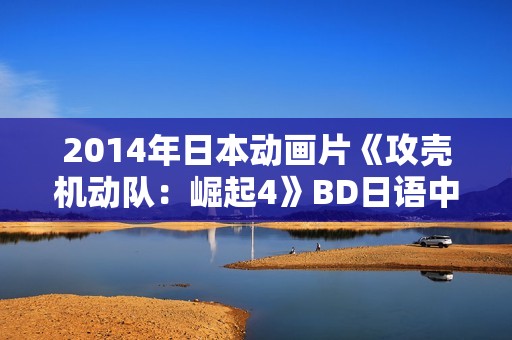 2014年日本动画片《攻壳机动队：崛起4》BD日语中字