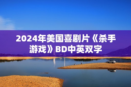 2024年美国喜剧片《杀手游戏》BD中英双字