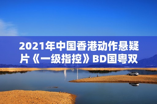 2021年中国香港动作悬疑片《一级指控》BD国粤双语中字