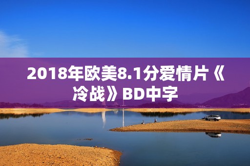 2018年欧美8.1分爱情片《冷战》BD中字