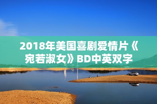 2018年美国喜剧爱情片《宛若淑女》BD中英双字