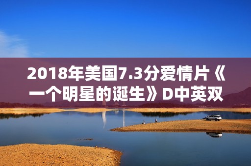 2018年美国7.3分爱情片《一个明星的诞生》D中英双字