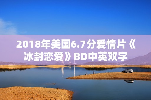 2018年美国6.7分爱情片《冰封恋爱》BD中英双字