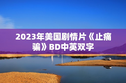 2023年美国剧情片《止痛骗》BD中英双字