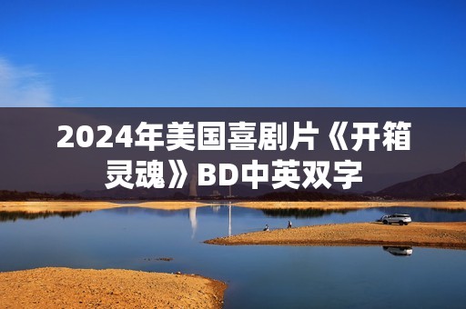 2024年美国喜剧片《开箱灵魂》BD中英双字