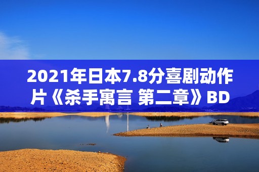 2021年日本7.8分喜剧动作片《杀手寓言 第二章》BD日语中字