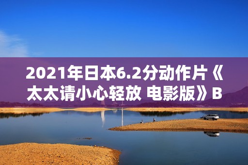 2021年日本6.2分动作片《太太请小心轻放 电影版》BD日语中字