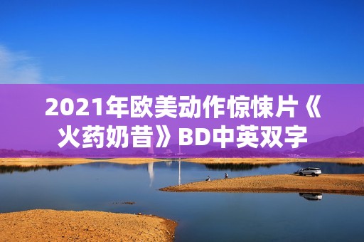 2021年欧美动作惊悚片《火药奶昔》BD中英双字 2021年欧美动作惊悚片《火药奶昔》BD中英双字