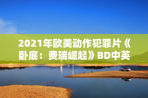2021年欧美动作犯罪片《卧底：费瑞崛起》BD中英双字