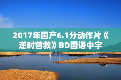 2017年国产6.1分动作片《逆时营救》BD国语中字