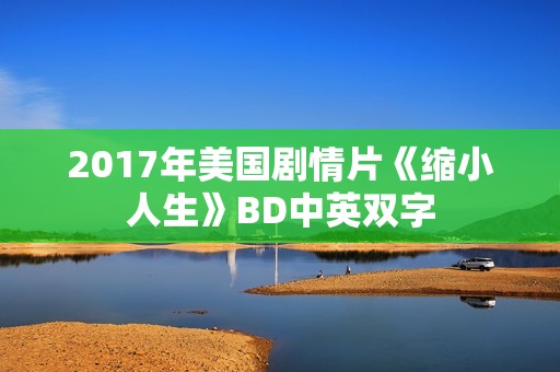 2017年美国剧情片《缩小人生》BD中英双字