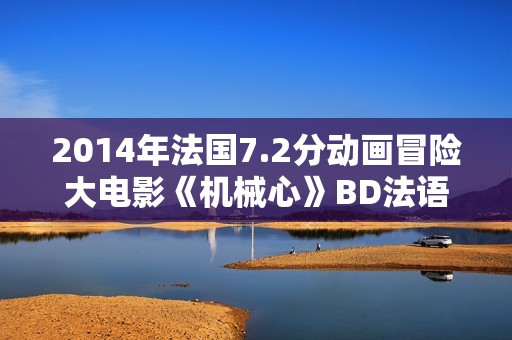 2014年法国7.2分动画冒险大电影《机械心》BD法语中字 2014年法国7.2分动画冒险大电影《机械心》BD法语中字