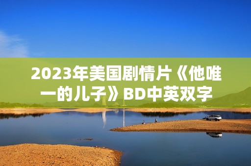 2023年美国剧情片《他唯一的儿子》BD中英双字