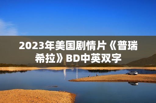 2023年美国剧情片《普瑞希拉》BD中英双字