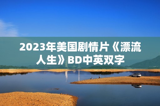 2023年美国剧情片《漂流人生》BD中英双字