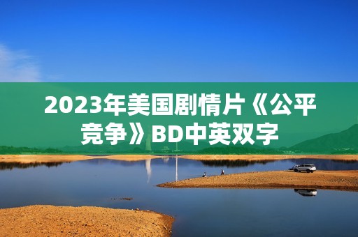 2023年美国剧情片《公平竞争》BD中英双字