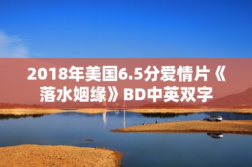 2018年美国6.5分爱情片《落水姻缘》BD中英双字