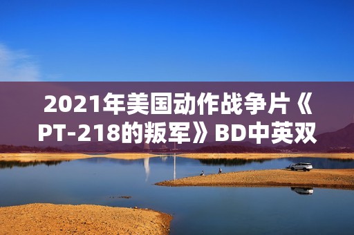 2021年美国动作战争片《PT-218的叛军》BD中英双字