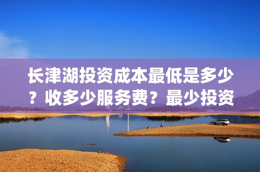 长津湖投资成本最低是多少？收多少服务费？最少投资多少钱？(长津湖投资成本高吗)