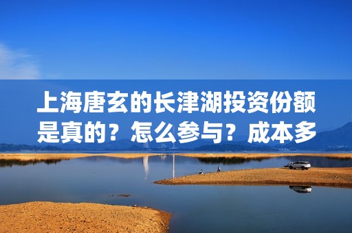 上海唐玄的长津湖投资份额是真的？怎么参与？成本多少？(长津湖 上海唐玄)
