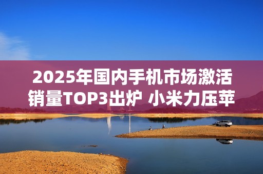 2025年国内手机市场激活销量TOP3出炉 小米力压苹果