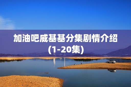 加油吧威基基分集剧情介绍(1-20集)