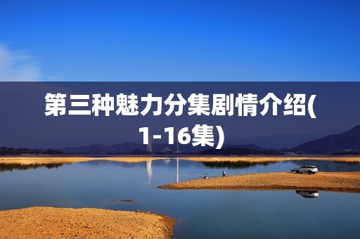 第三种魅力分集剧情介绍(1-16集)