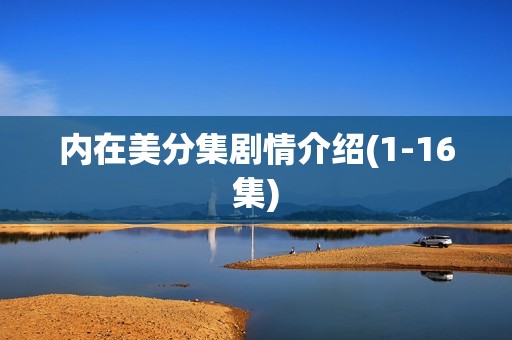 内在美分集剧情介绍(1-16集)