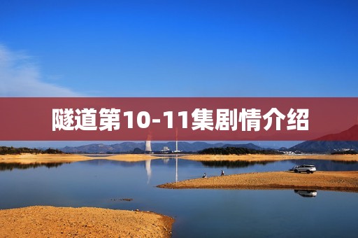 隧道第10-11集剧情介绍