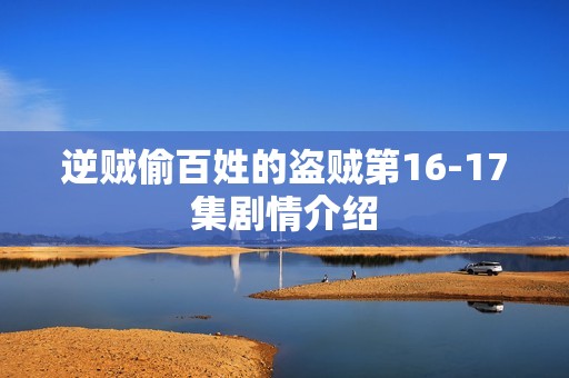 逆贼偷百姓的盗贼第16-17集剧情介绍