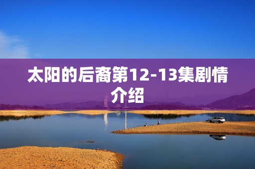 太阳的后裔第12-13集剧情介绍