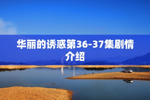 华丽的诱惑第36-37集剧情介绍