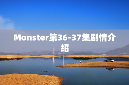 Monster第36-37集剧情介绍