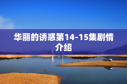 华丽的诱惑第14-15集剧情介绍