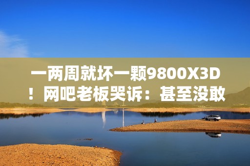 一两周就坏一颗9800X3D！网吧老板哭诉：甚至没敢开任何超频