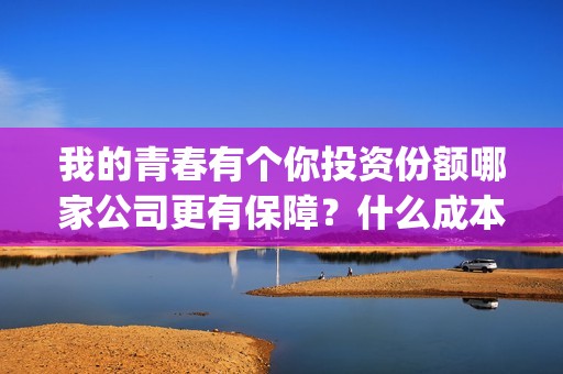 我的青春有个你投资份额哪家公司更有保障？什么成本？投资收益多少？(我的青春有个你演员表)