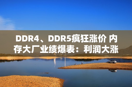 DDR4、DDR5疯狂涨价 内存大厂业绩爆表：利润大涨1500%!
