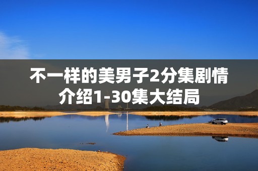 不一样的美男子2分集剧情介绍1-30集大结局