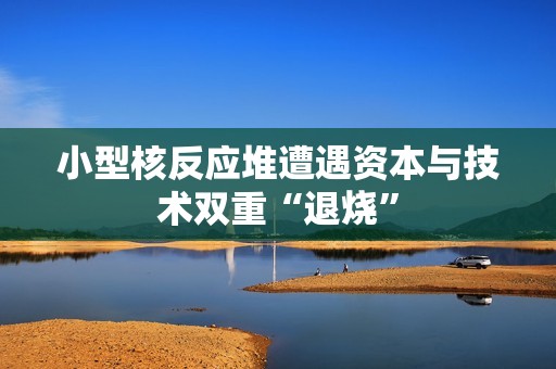 小型核反应堆遭遇资本与技术双重“退烧”