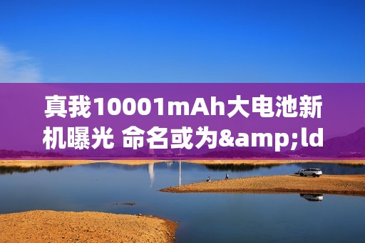 真我10001mAh大电池新机曝光 命名或为&ldquo;真我Power&rdquo;