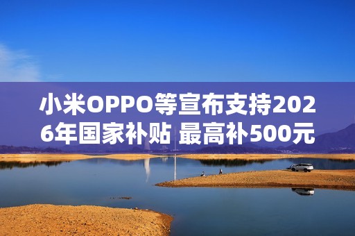 小米OPPO等宣布支持2026年国家补贴 最高补500元！