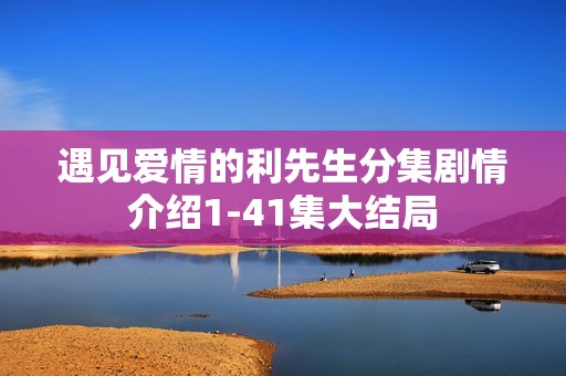遇见爱情的利先生分集剧情介绍1-41集大结局