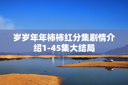 岁岁年年柿柿红分集剧情介绍1-45集大结局