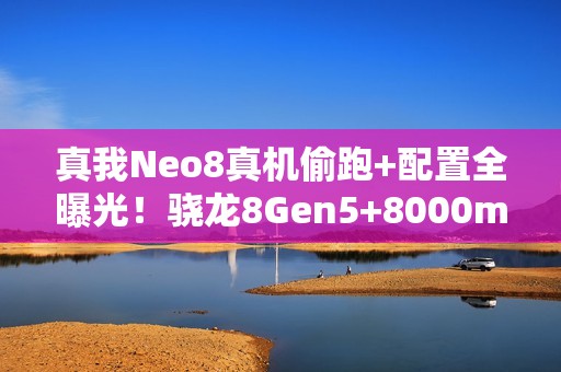 真我Neo8真机偷跑+配置全曝光！骁龙8Gen5+8000mAh